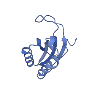12241_7bof_F_v1-1
Bacterial 30S ribosomal subunit assembly complex state I (body domain)