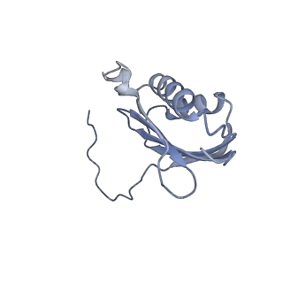 12241_7bof_K_v1-1
Bacterial 30S ribosomal subunit assembly complex state I (body domain)