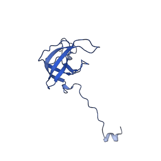 12241_7bof_L_v1-1
Bacterial 30S ribosomal subunit assembly complex state I (body domain)