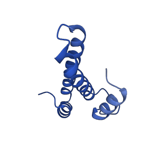 12241_7bof_O_v1-1
Bacterial 30S ribosomal subunit assembly complex state I (body domain)