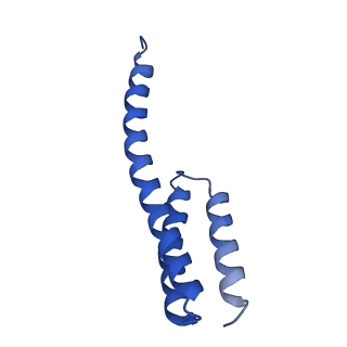 12241_7bof_T_v1-1
Bacterial 30S ribosomal subunit assembly complex state I (body domain)