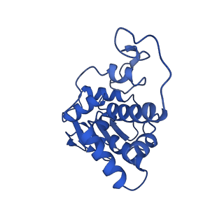 12242_7bog_D_v1-1
Bacterial 30S ribosomal subunit assembly complex state E (body domain)
