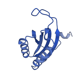 12242_7bog_F_v1-1
Bacterial 30S ribosomal subunit assembly complex state E (body domain)