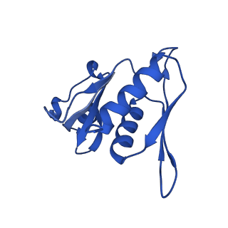 12242_7bog_H_v1-1
Bacterial 30S ribosomal subunit assembly complex state E (body domain)