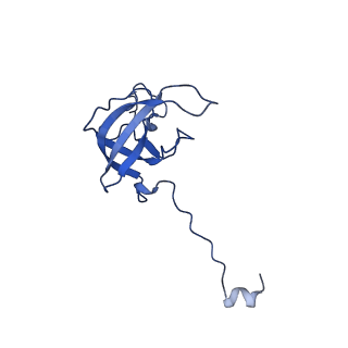 12242_7bog_L_v1-1
Bacterial 30S ribosomal subunit assembly complex state E (body domain)
