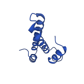 12242_7bog_O_v1-1
Bacterial 30S ribosomal subunit assembly complex state E (body domain)