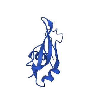 12242_7bog_P_v1-1
Bacterial 30S ribosomal subunit assembly complex state E (body domain)