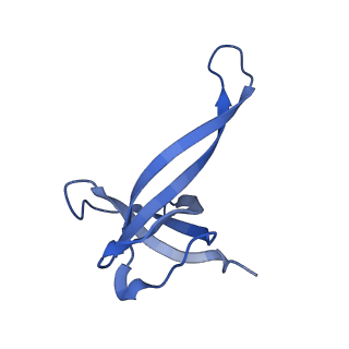 12242_7bog_Q_v1-1
Bacterial 30S ribosomal subunit assembly complex state E (body domain)