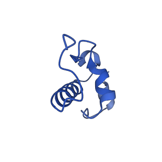 12242_7bog_R_v1-1
Bacterial 30S ribosomal subunit assembly complex state E (body domain)