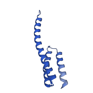 12242_7bog_T_v1-1
Bacterial 30S ribosomal subunit assembly complex state E (body domain)