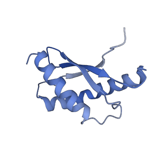 12242_7bog_V_v1-1
Bacterial 30S ribosomal subunit assembly complex state E (body domain)