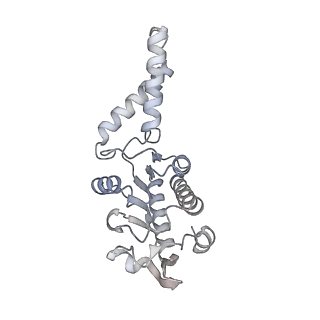 12243_7boh_B_v1-0
Complete Bacterial 30S ribosomal subunit assembly complex state E (+RbfA)(Consensus Refinement)