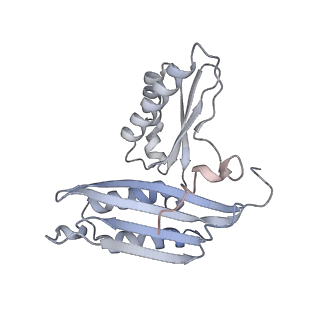 12243_7boh_C_v1-0
Complete Bacterial 30S ribosomal subunit assembly complex state E (+RbfA)(Consensus Refinement)