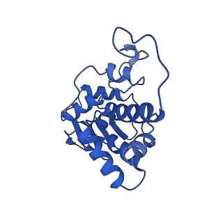 12243_7boh_D_v1-0
Complete Bacterial 30S ribosomal subunit assembly complex state E (+RbfA)(Consensus Refinement)