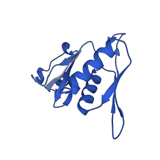 12243_7boh_H_v1-0
Complete Bacterial 30S ribosomal subunit assembly complex state E (+RbfA)(Consensus Refinement)