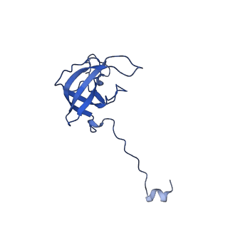 12243_7boh_L_v1-0
Complete Bacterial 30S ribosomal subunit assembly complex state E (+RbfA)(Consensus Refinement)