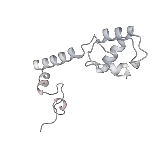 12243_7boh_M_v1-0
Complete Bacterial 30S ribosomal subunit assembly complex state E (+RbfA)(Consensus Refinement)