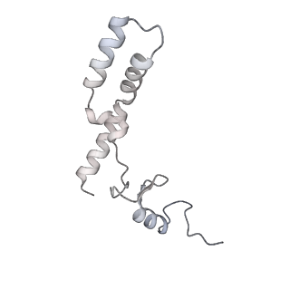 12243_7boh_N_v1-0
Complete Bacterial 30S ribosomal subunit assembly complex state E (+RbfA)(Consensus Refinement)