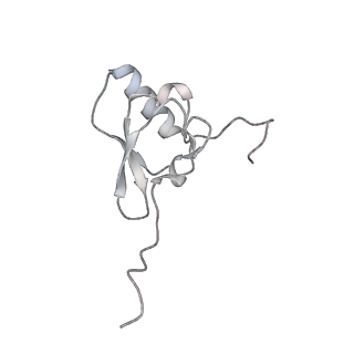 12243_7boh_S_v1-0
Complete Bacterial 30S ribosomal subunit assembly complex state E (+RbfA)(Consensus Refinement)