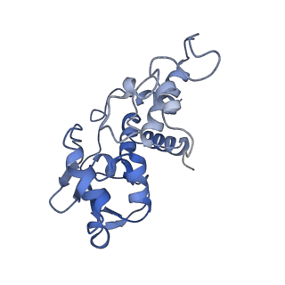 12244_7boi_D_v1-1
Bacterial 30S ribosomal subunit assembly complex state F (multibody refinement for body domain of 30S ribosome)