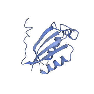 12244_7boi_F_v1-1
Bacterial 30S ribosomal subunit assembly complex state F (multibody refinement for body domain of 30S ribosome)
