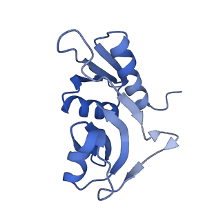 12244_7boi_H_v1-1
Bacterial 30S ribosomal subunit assembly complex state F (multibody refinement for body domain of 30S ribosome)