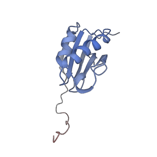 12244_7boi_K_v1-1
Bacterial 30S ribosomal subunit assembly complex state F (multibody refinement for body domain of 30S ribosome)