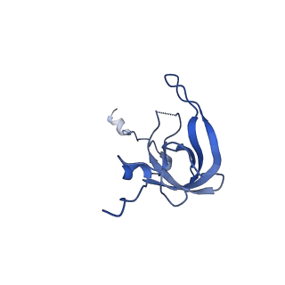 12244_7boi_L_v1-1
Bacterial 30S ribosomal subunit assembly complex state F (multibody refinement for body domain of 30S ribosome)