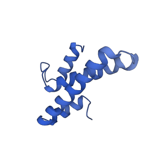 12244_7boi_O_v1-1
Bacterial 30S ribosomal subunit assembly complex state F (multibody refinement for body domain of 30S ribosome)