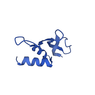 12244_7boi_P_v1-1
Bacterial 30S ribosomal subunit assembly complex state F (multibody refinement for body domain of 30S ribosome)