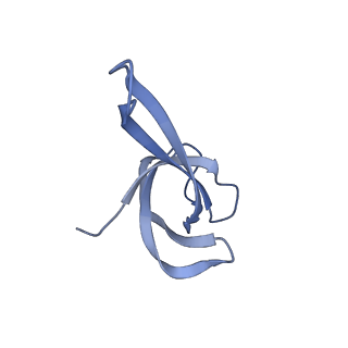 12244_7boi_Q_v1-1
Bacterial 30S ribosomal subunit assembly complex state F (multibody refinement for body domain of 30S ribosome)