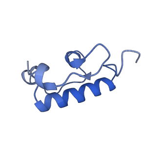 12244_7boi_R_v1-1
Bacterial 30S ribosomal subunit assembly complex state F (multibody refinement for body domain of 30S ribosome)