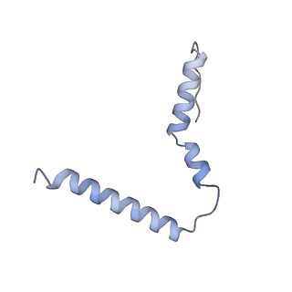 12244_7boi_U_v1-1
Bacterial 30S ribosomal subunit assembly complex state F (multibody refinement for body domain of 30S ribosome)