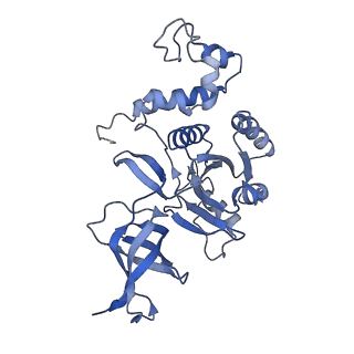 12244_7boi_W_v1-1
Bacterial 30S ribosomal subunit assembly complex state F (multibody refinement for body domain of 30S ribosome)