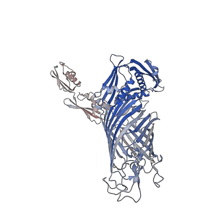 16138_8bo2_A_v1-3
BAM-EspP complex structure with BamA-S425C/EspP-S1299C mutations in nanodisc