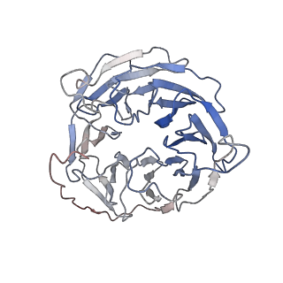 16138_8bo2_B_v1-3
BAM-EspP complex structure with BamA-S425C/EspP-S1299C mutations in nanodisc