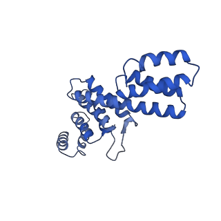 16138_8bo2_D_v1-3
BAM-EspP complex structure with BamA-S425C/EspP-S1299C mutations in nanodisc