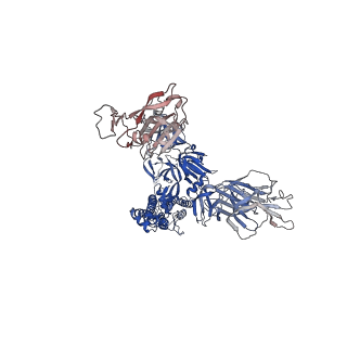 16144_8bon_B_v1-1
Structure of the SARS-CoV-2 spike glycoprotein in complex with the macrocyclic peptide S1B3inL1