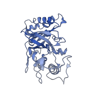30131_7bok_A_v1-1
Cryo-EM structure of the encapsulated DyP-type peroxidase from Mycobacterium smegmatis