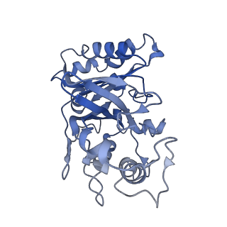 30131_7bok_A_v1-2
Cryo-EM structure of the encapsulated DyP-type peroxidase from Mycobacterium smegmatis