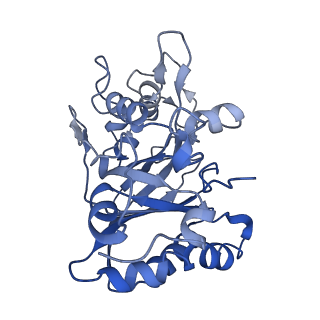 30131_7bok_B_v1-2
Cryo-EM structure of the encapsulated DyP-type peroxidase from Mycobacterium smegmatis