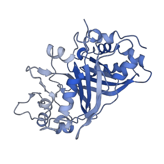 30131_7bok_D_v1-1
Cryo-EM structure of the encapsulated DyP-type peroxidase from Mycobacterium smegmatis