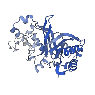 30131_7bok_E_v1-1
Cryo-EM structure of the encapsulated DyP-type peroxidase from Mycobacterium smegmatis
