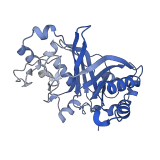 30131_7bok_E_v1-2
Cryo-EM structure of the encapsulated DyP-type peroxidase from Mycobacterium smegmatis