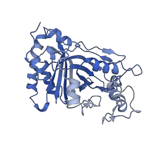 30131_7bok_F_v1-1
Cryo-EM structure of the encapsulated DyP-type peroxidase from Mycobacterium smegmatis