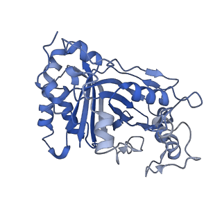 30131_7bok_F_v1-2
Cryo-EM structure of the encapsulated DyP-type peroxidase from Mycobacterium smegmatis