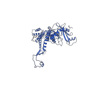 30134_7bou_A_v1-0
GP8 of Mature Bacteriophage T7