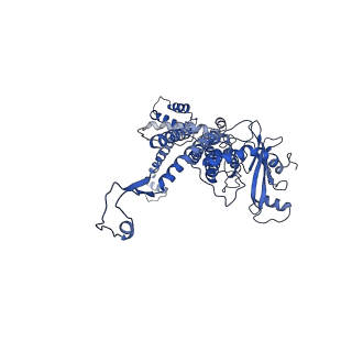30134_7bou_B_v1-0
GP8 of Mature Bacteriophage T7