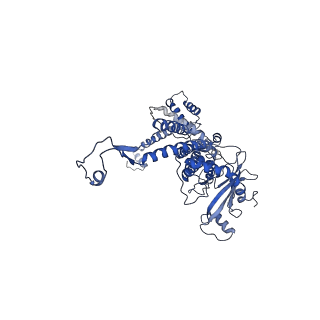 30134_7bou_C_v1-0
GP8 of Mature Bacteriophage T7