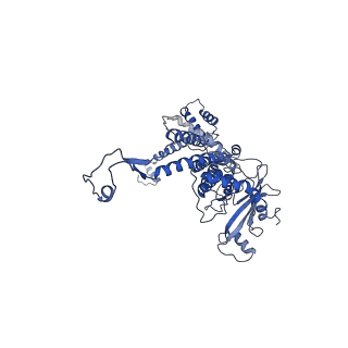 30134_7bou_C_v1-1
GP8 of Mature Bacteriophage T7